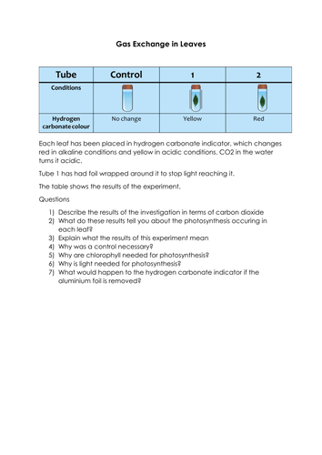 AQA 9-1 Biology - Photosynthesis Lesson - Bioenergetics Lesson 1 (4.4; 4.4.1)