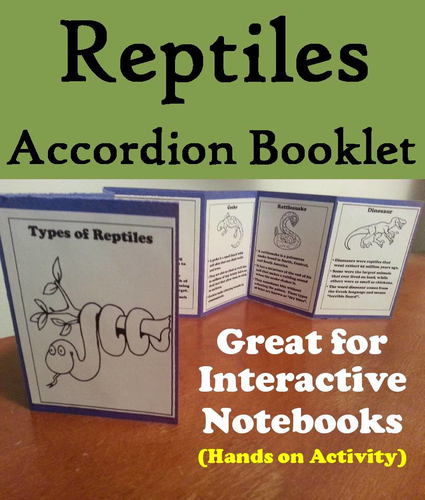 Reptiles Accordion Booklet