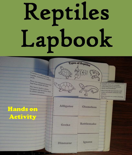 Reptiles Lapbook