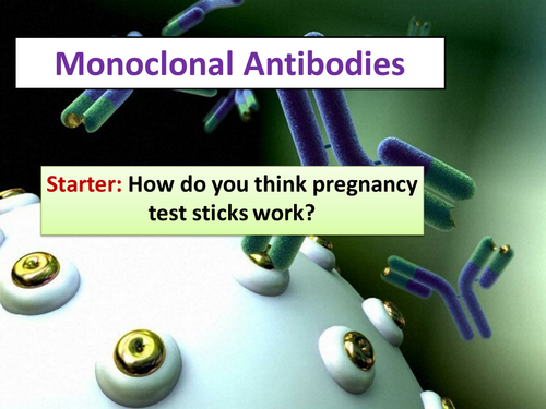 Monoclonal Antibodies