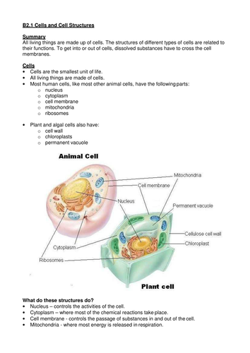 IGCSE Biology Cells and Cell Structures - Summary sheet