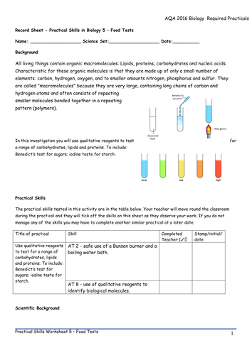 AQA 9-1 Biology Required Practical Worksheets