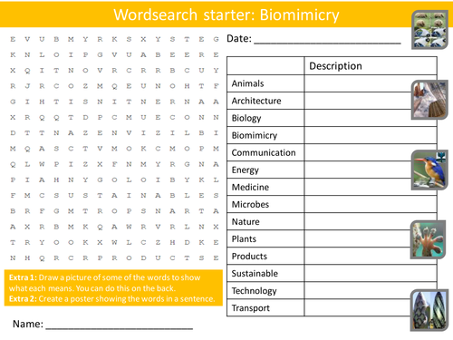 Design Technology Biomimicry Starter Activities Wordsearch, Anagrams Crossword Cover Lesson