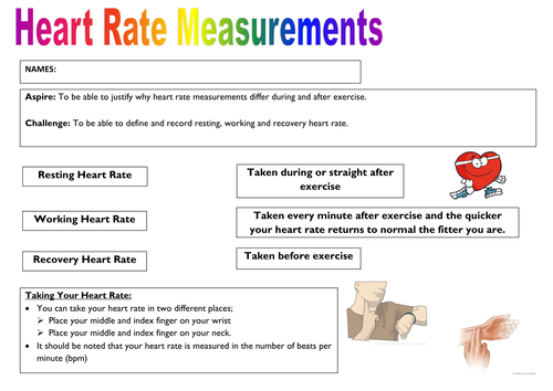 heart-rate-worksheet-teaching-resources