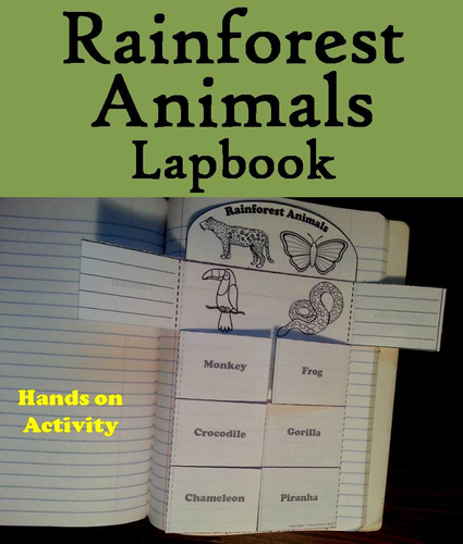 Rainforest Animals Lapbook