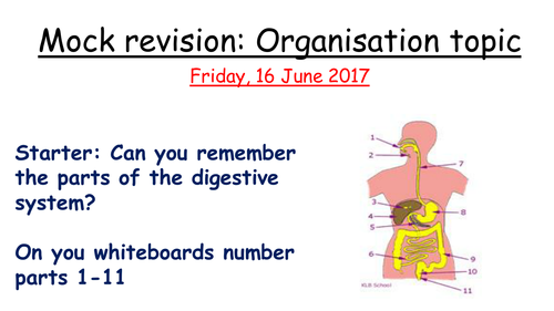 Organisation revision lesson AQA 1-9 GCSE