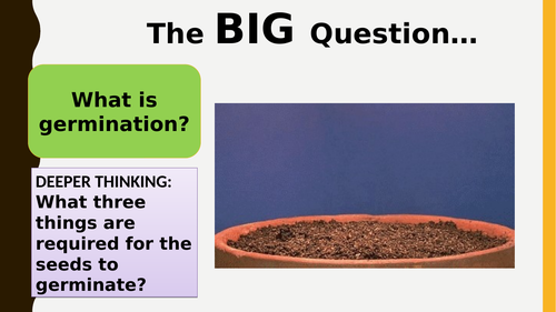 AQA new specification-REQUIRED PRACTICAL 8-Germination-B11.9