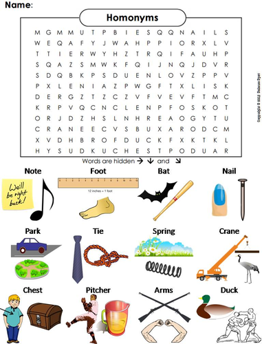 Homonyms Word Search