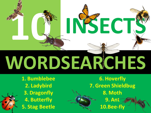 10 Insects Wordsearches Keyword Starters Wordsearch Homework Cover Plenary Lesson Insect