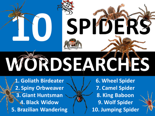 10 Spider Wordsearches Keyword Starters Wordsearch Homework Cover Plenary Lesson Spiders