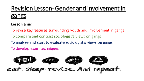 Revision lesson Youth subcultures and gangs