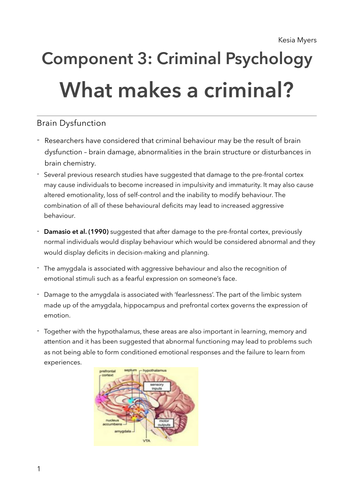 OCR PSYCHOLOGY APPLICATIONS (CRIMINAL) WHAT MAKES A CRIMINAL