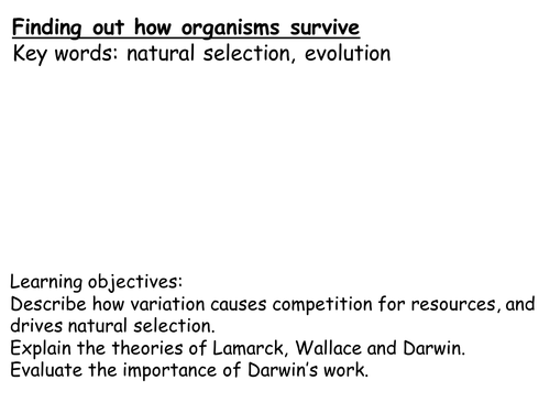 Evolution KS3