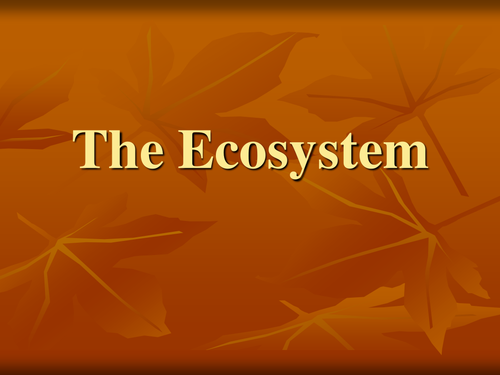 meaning-of-ecosystems-and-the-rain-tropical-forest-teaching-resources