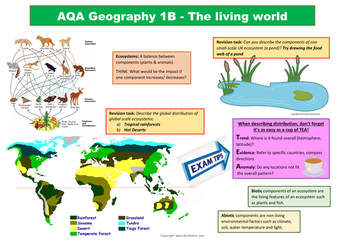 the new geography of jobs pdf download