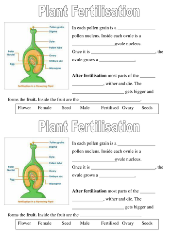 AQA Activate Plant Reproduction