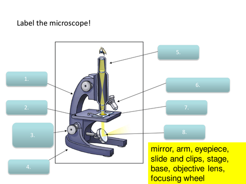 Microscopy Required Practical