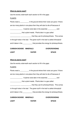 AQA Activate Interdependence