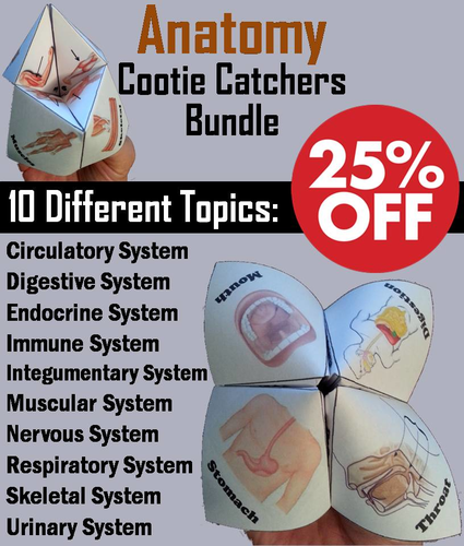 Anatomy Cootie Catchers Bundle