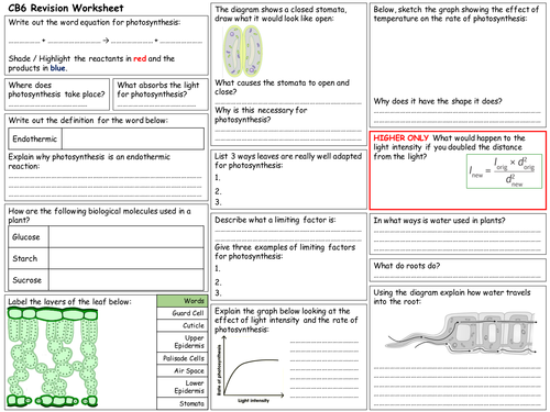 edexcel cb6 revision worksheet teaching resources