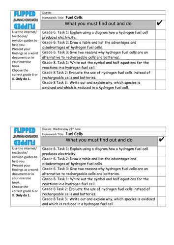 Fuel cell homework picture