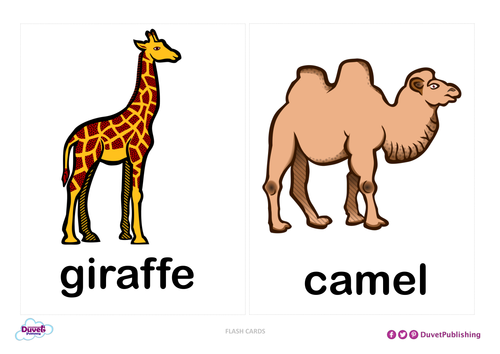 zoo animals flashcards teaching resources