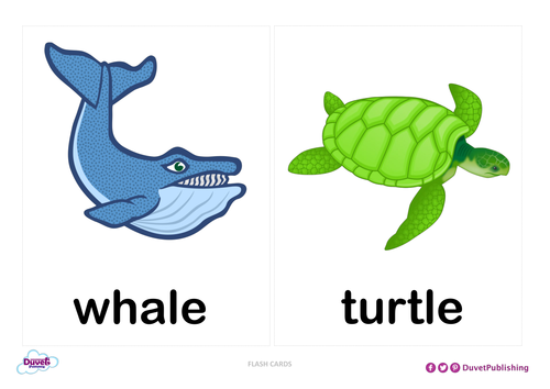 sea-animals-flashcards-teaching-resources