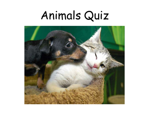 15 quizzes for fun or tutor time