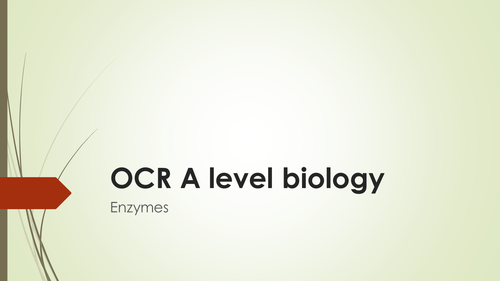 OCR A level biology: enzymes