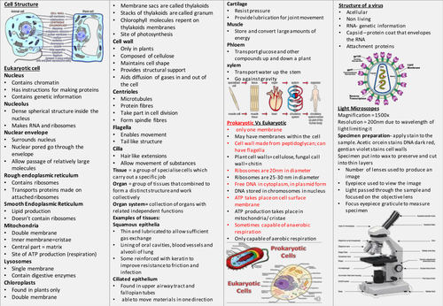 Knowledge Organiser AQA A Level Biology- cells