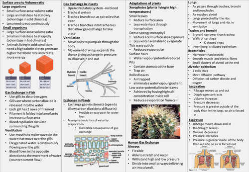 Knowledge Organiser AQA A Level Biology organisms exchange  Substances with their Environment