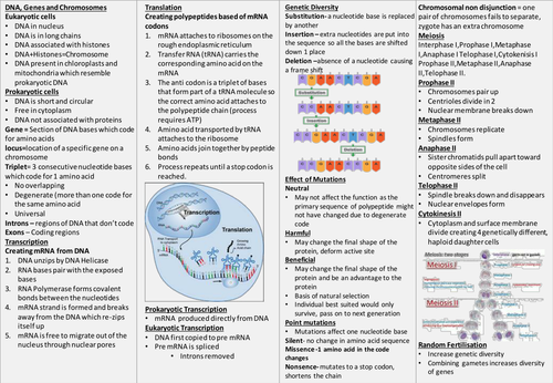 Knowledge Organiser AQA A level Biology-Genetic information, variation and relationships between org