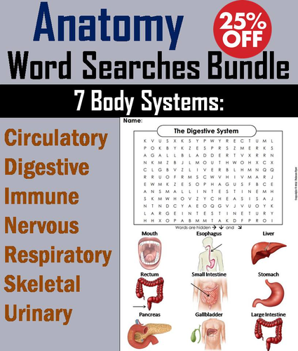 Human Body Systems: Anatomy Word Search Bundle