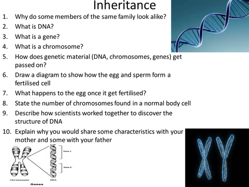 Inheritance