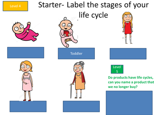 The product life cycle (Marketing Mix) | Teaching Resources