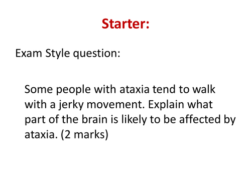 The Brain and Spinal Cord