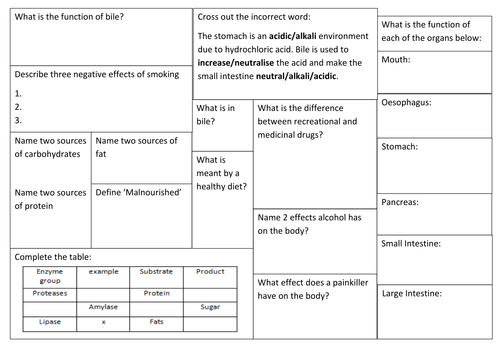 Healthy Lifestyle Revision