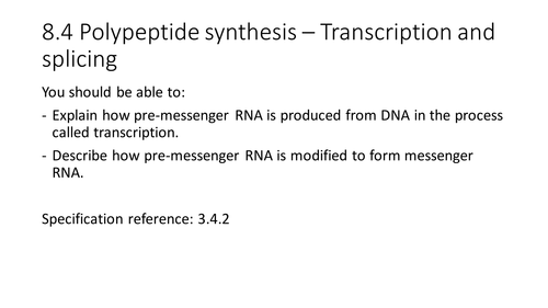 NEW AQA AS Biology 8.4 Transcription and Splicing