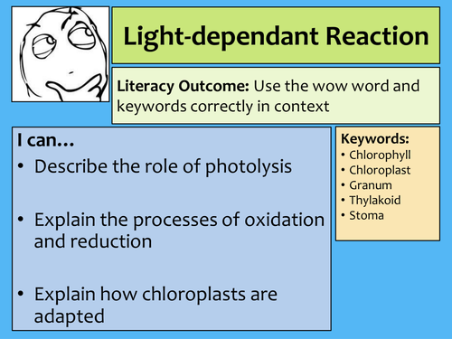 AQA A-Level- Photosynthesis - Light Dependant Reaction Lecture Notes