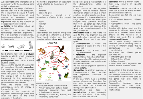 KS3 Ecology Knowledge Organiser - Food chains/food webs, conservation