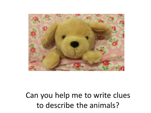 What am i? EYFS lesson