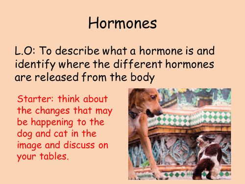 SB7a Hormones NEW GCSE EDEXCEL (9-1)
