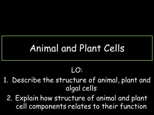 Animal and Plant Cells