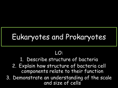 Eukaryotes and Prokaryotes including Bacteria Cell Structure