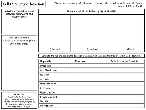 GCSE Biology (9-1) Cell Structure and Microscopy Revision