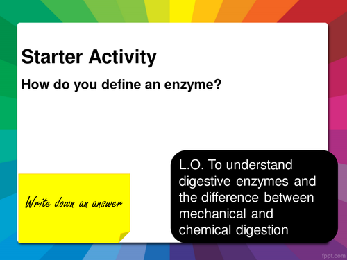 Enzymatic Digestion
