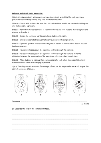 Cell cycle and mitotic index lesson. A Level Biology, AQA 7401/7402