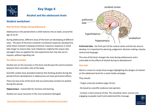 Brain Development in Teenagers: KS4 – Alcohol and the adolescent brain
