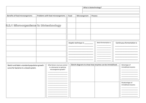 OCR Biology 6.2.1 e, f, g, h Microorganisms in Biotechnology Summary Sheet