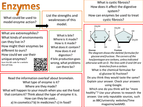 GCSE Biology Enzymes Challenge Wall